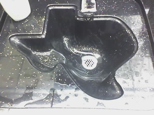 Texas-shaped sink