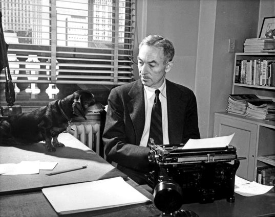 Featured image for E.B. White on Dogs