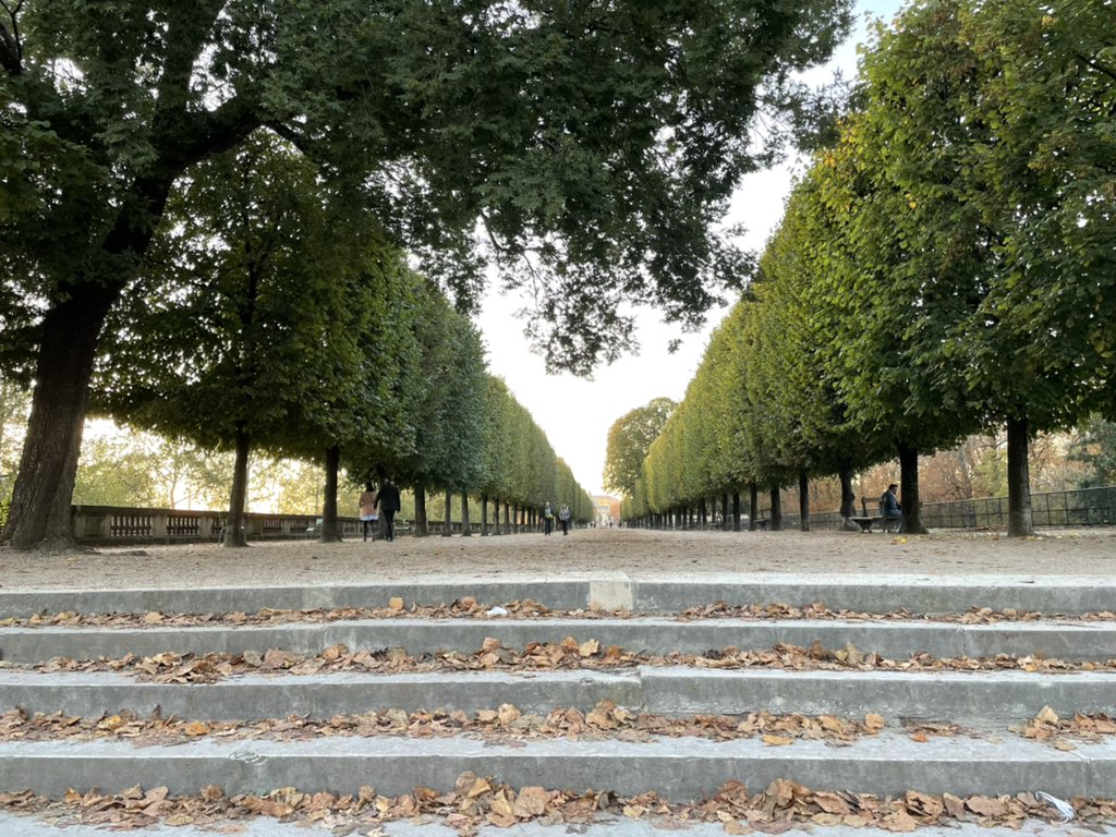 Long beautiful path in the Tuileries