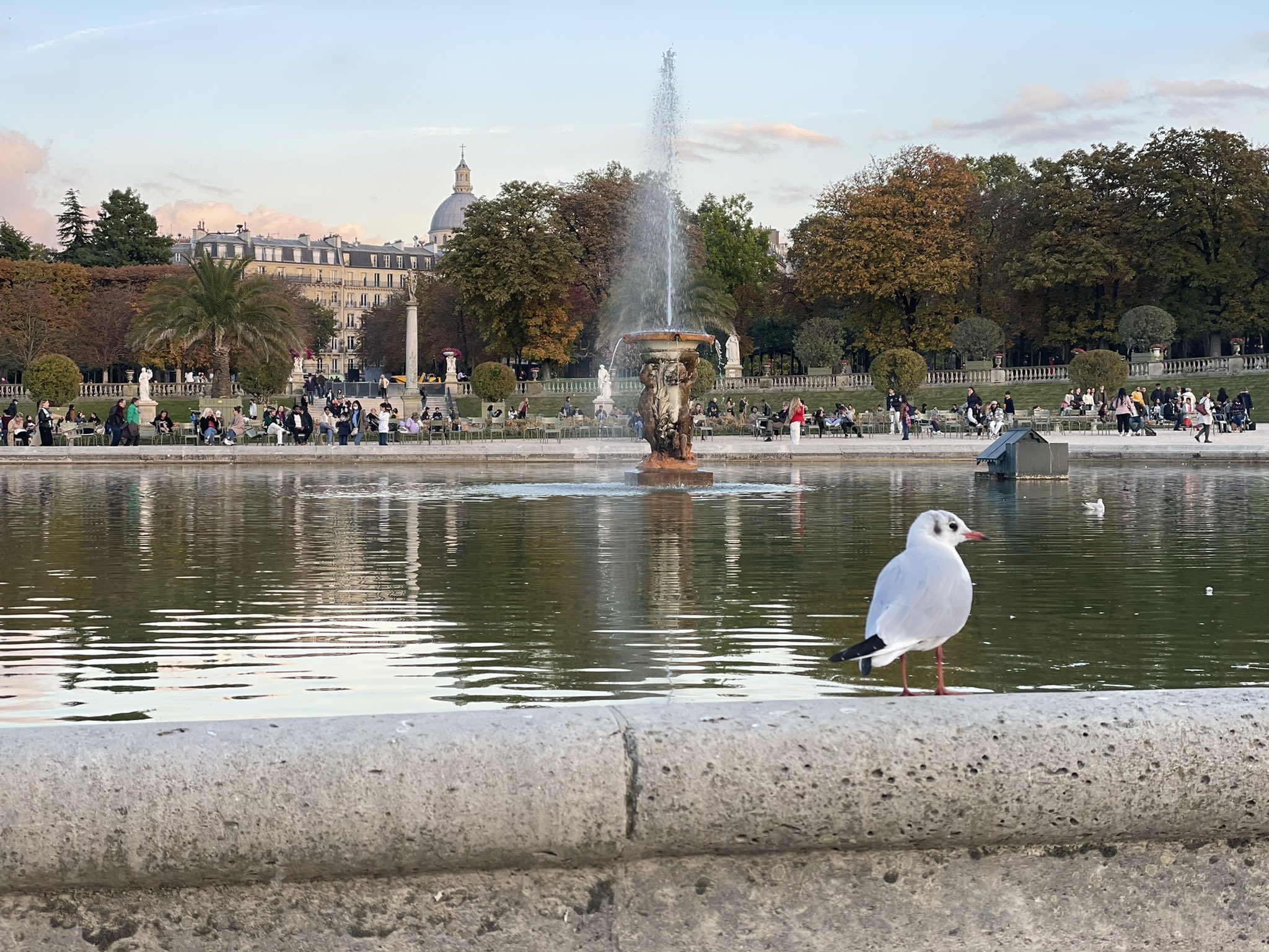 We reached the Jardin du Luxembourg at Golden Hour