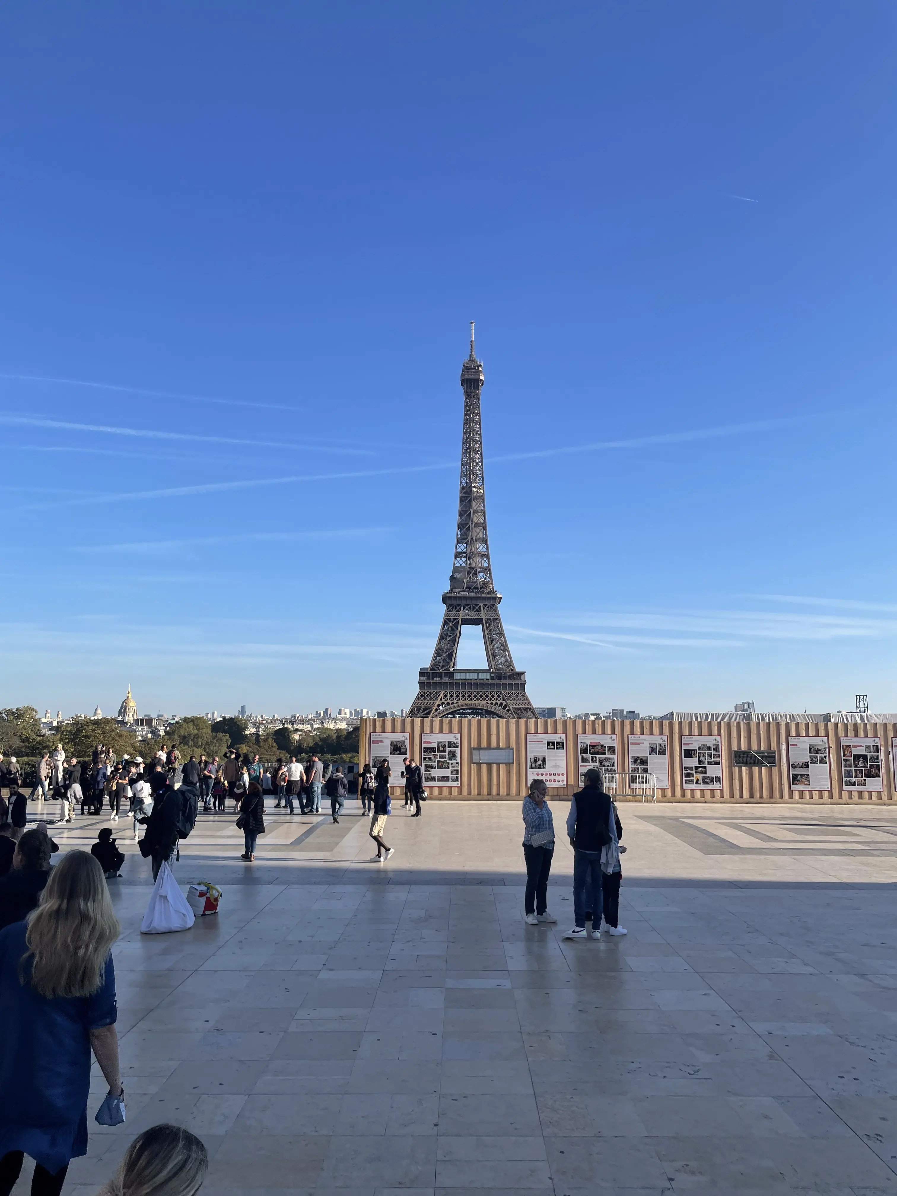 Eiffel tower from the Jardins du Trocadero