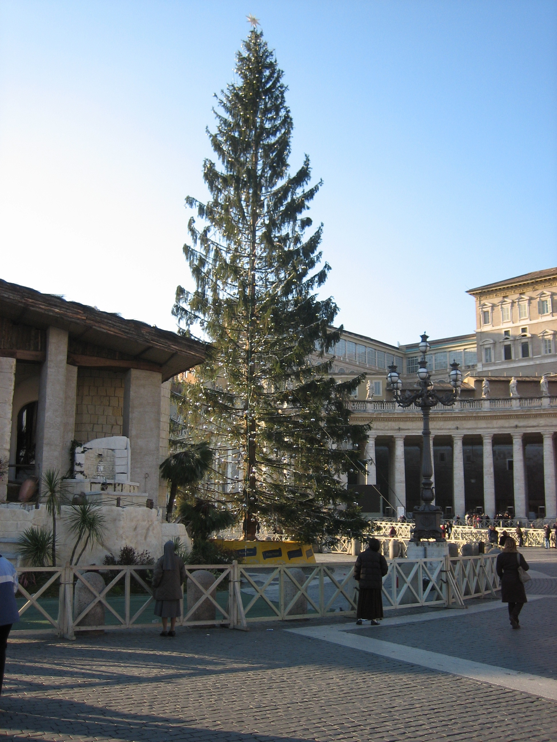 Christmas tree near St. Peter's