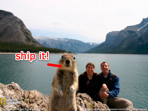 ship-it squirrel