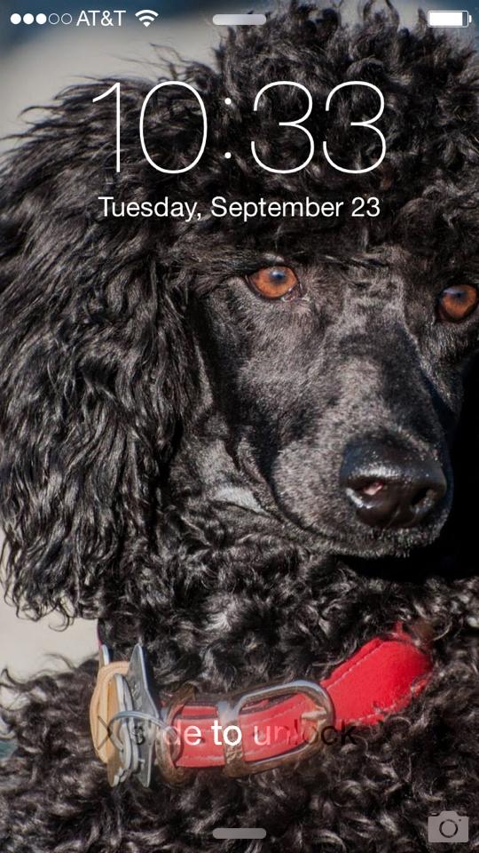 Tell me I don&rsquo;t have an amazing lock screen. He&rsquo;s cute and sweet but also primal and mysterious.