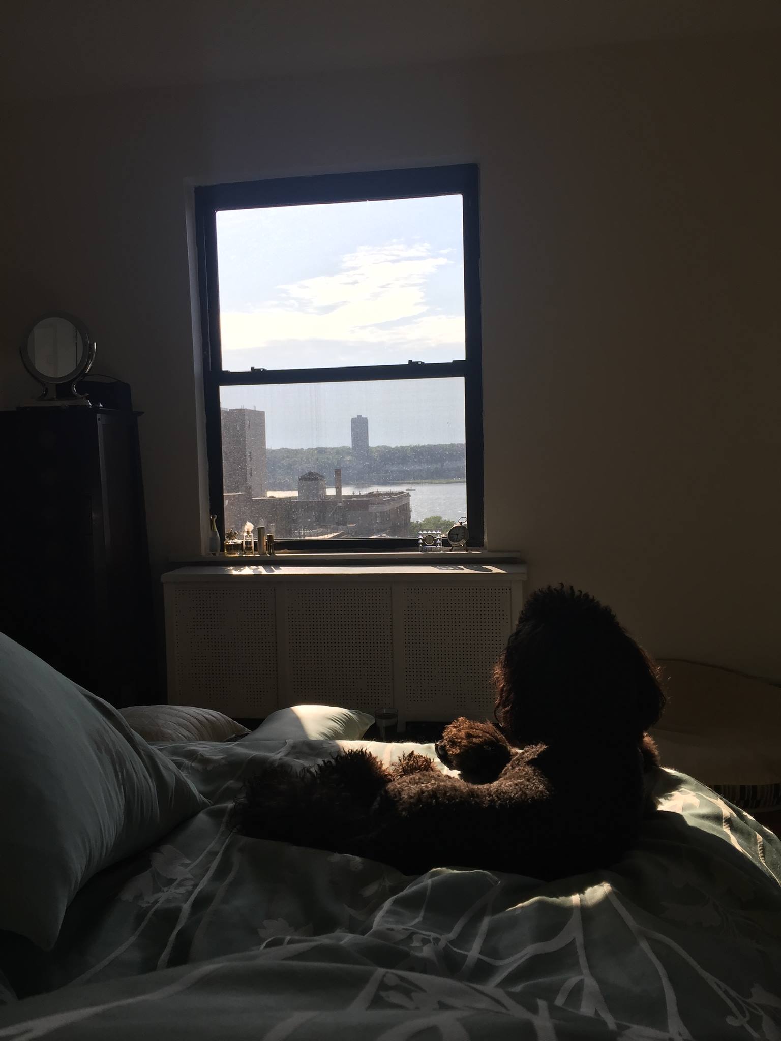 Evening, crossword, bed, poodle, sun, Hudson, New Jersey, America.