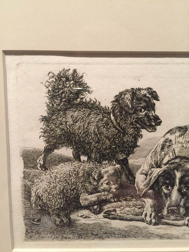 Found an 18th century poodle showing his &rsquo;lunettes.&rsquo; Definitely ready to be a scamp.
