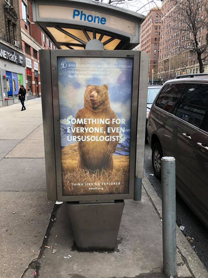Maybe west-siders are a target market. I love bears.