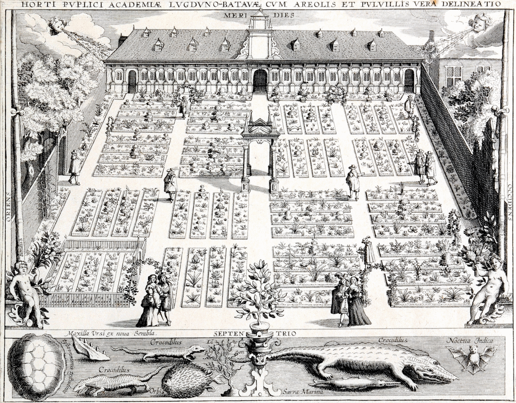 The Botanical Garden of the Academy at Leiden with walls and flowerbeds correctly drawn
