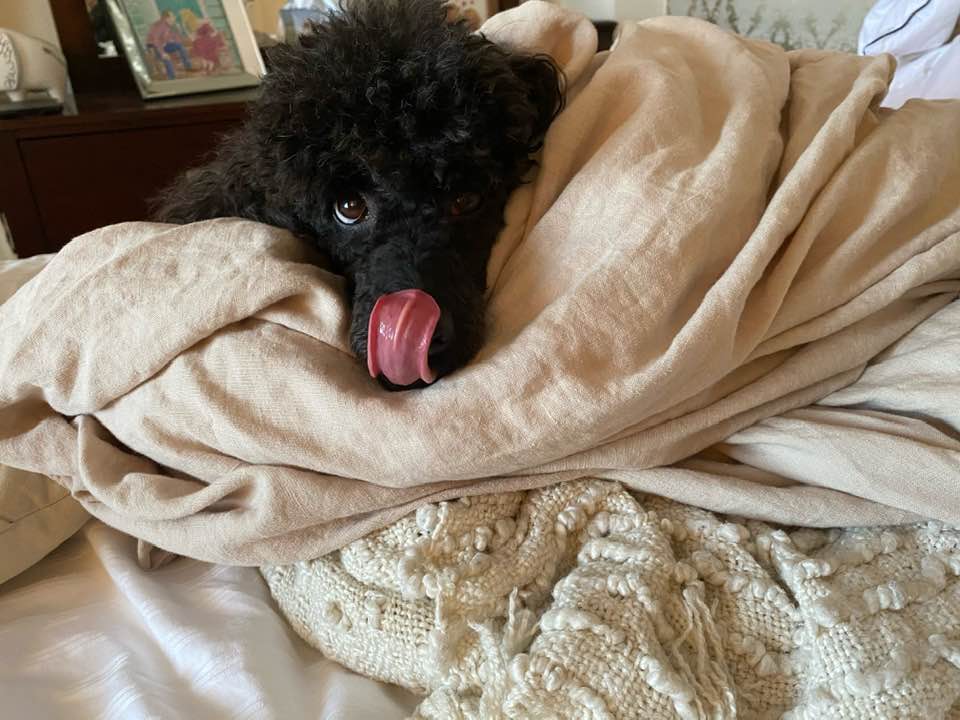 Byron loves duvet cover wash day.