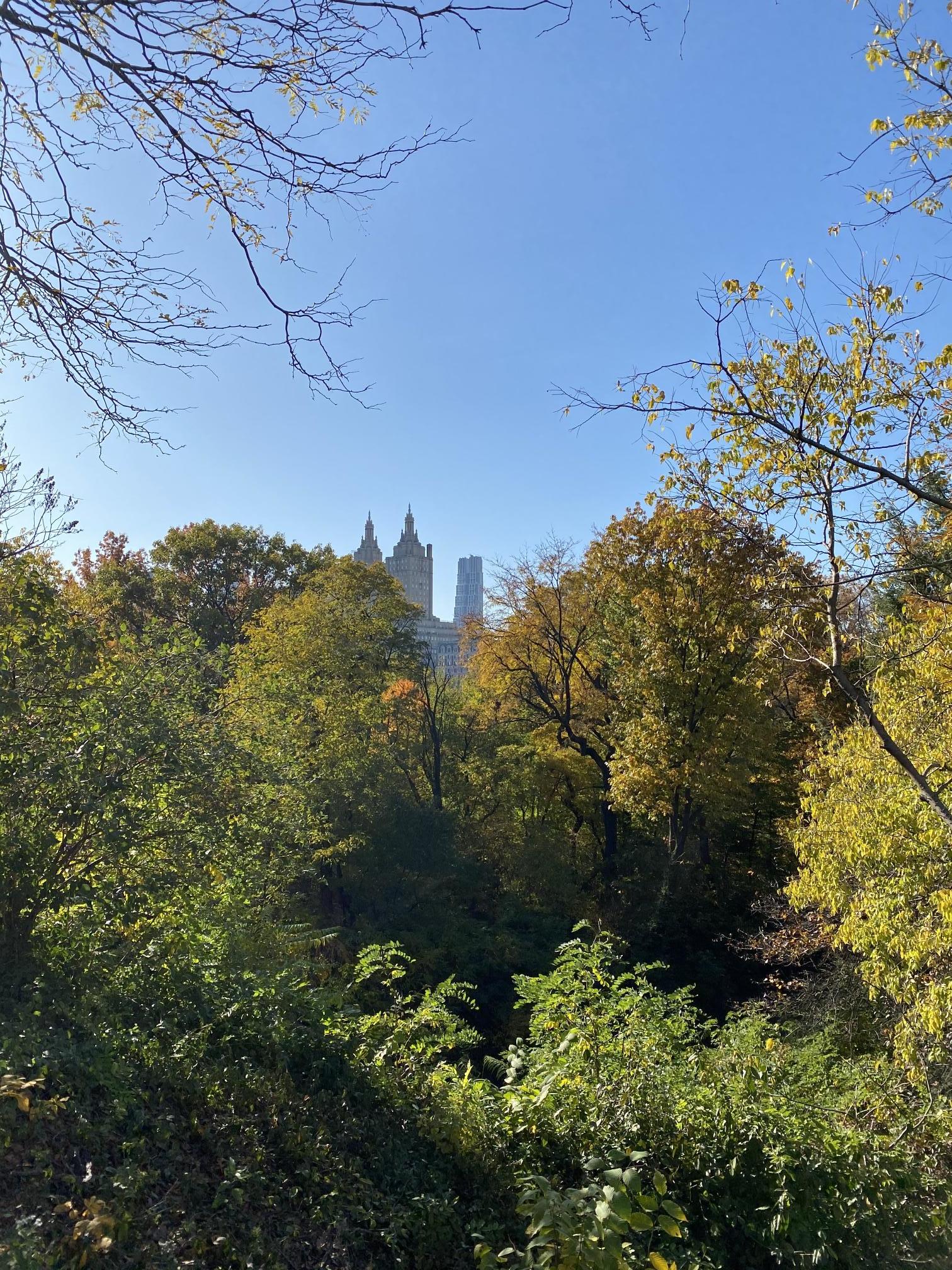 A blessed and beautiful day in Central Park